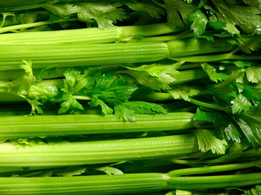 From Digestion to Glowing Skin: The Surprising Health Benefits of Celery