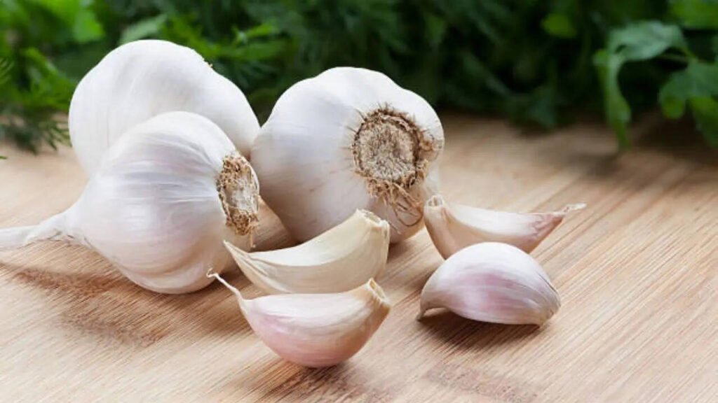 benefits of garlic